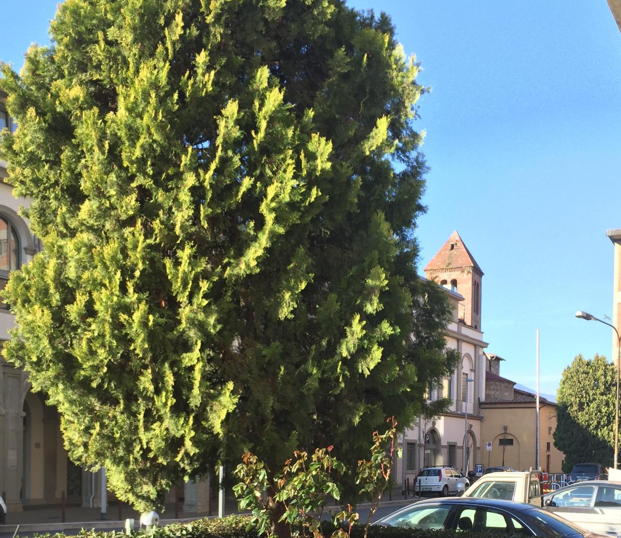 San Donato Flat Lägenhet Florens Exteriör bild